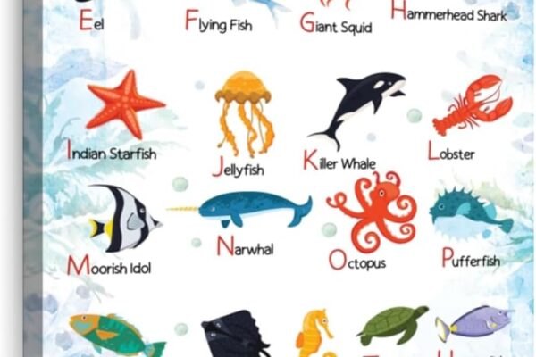 Decordations like sealife art can be used to add charm to the Rivelle playhouses.